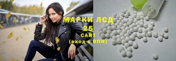 прущие грибы Армянск