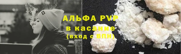 прущие грибы Армянск