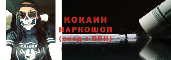 прущие грибы Армянск