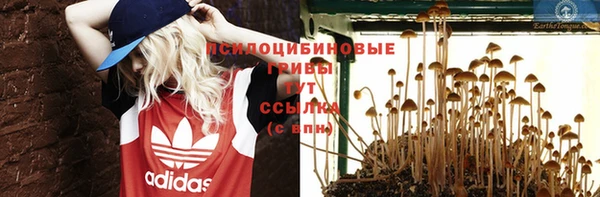 прущие грибы Армянск