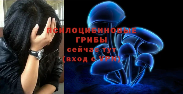 прущие грибы Армянск